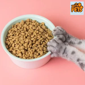 Pet Nutrition