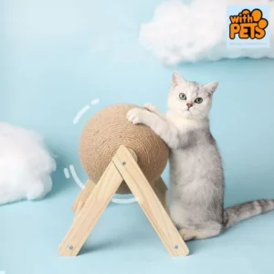 Pet Accessories & Toys